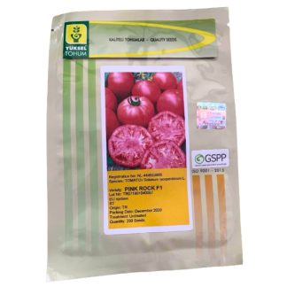 Paradajz Pink Rock F1 500 sj
