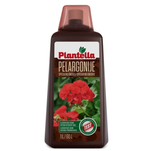 Plantela 1 lit pelargonije