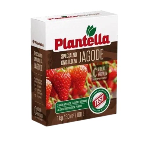 Plantela za jagode 1 kg