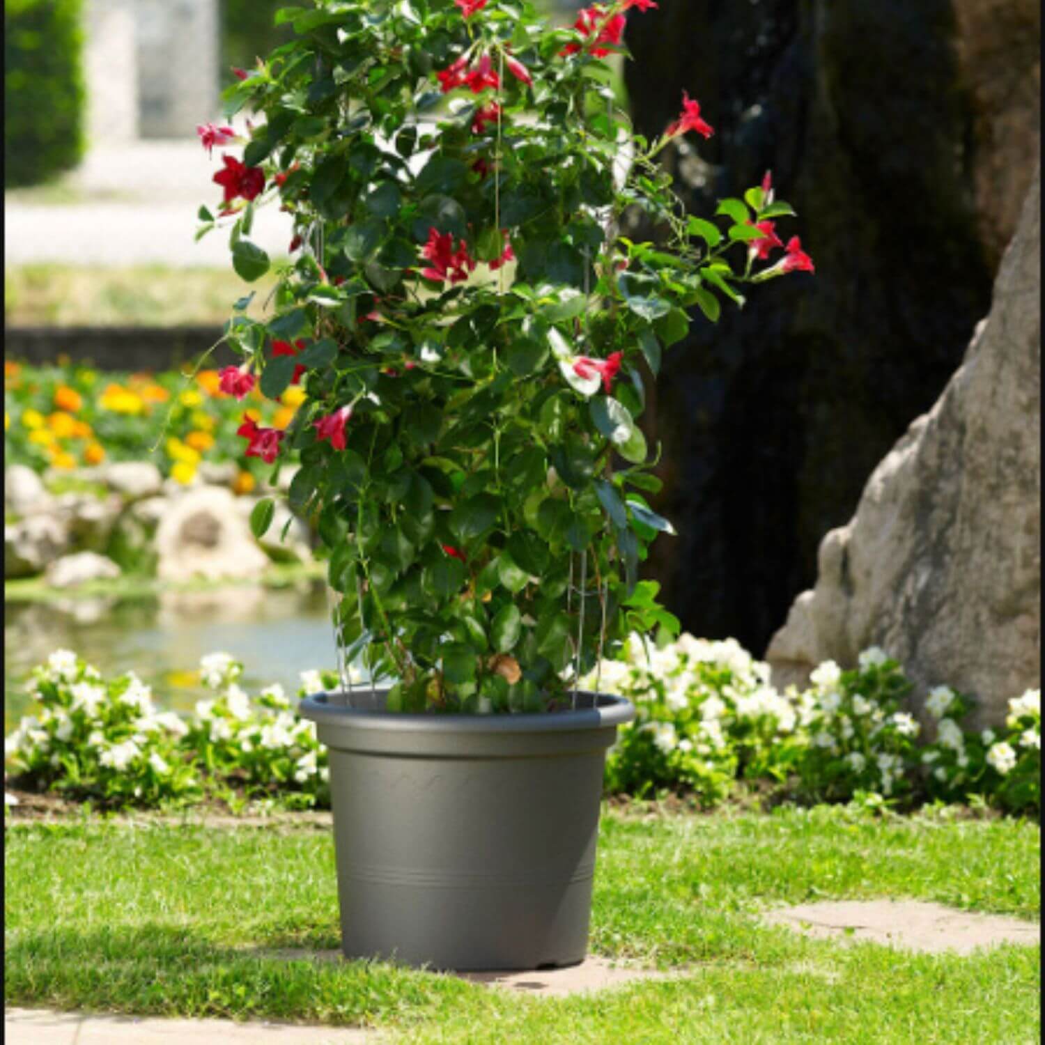 Saksija GEO 60cm Antracit - Image 3