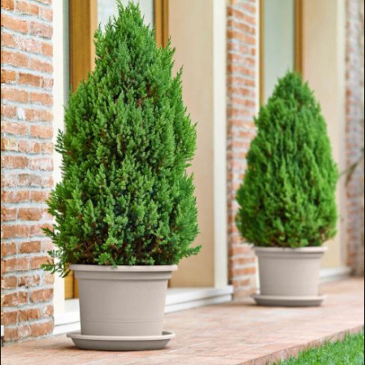 Saksija GEO 60cm Antracit - Image 4