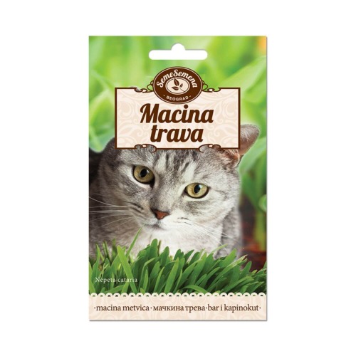 Sjemenska kesica Macina trava RS