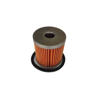 Filter goriva Filter Element-Fuel