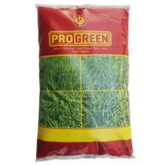 Engleski ljulj Freud 1kg