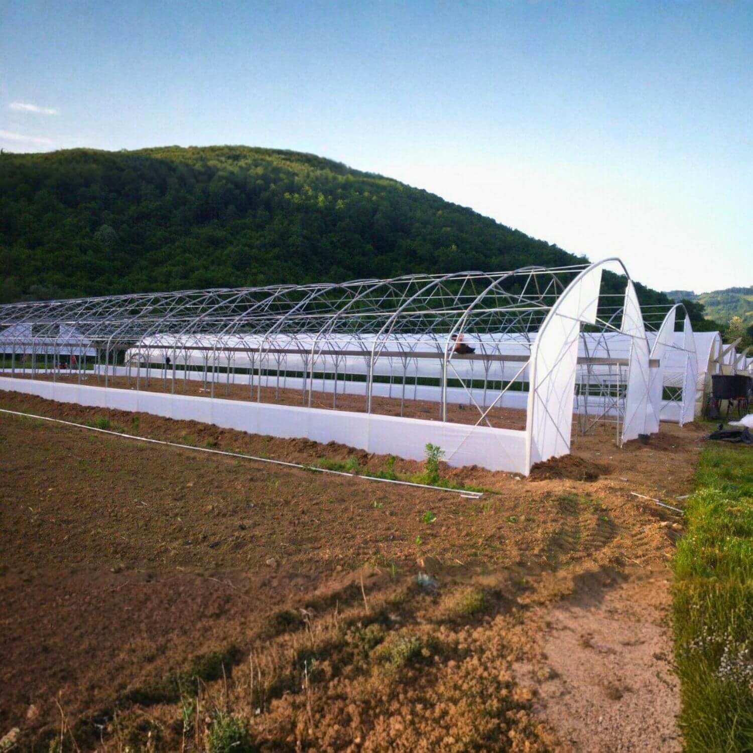 Plastenik sa automatskim otvaranjem krova i bokova ITC P100 - Image 2