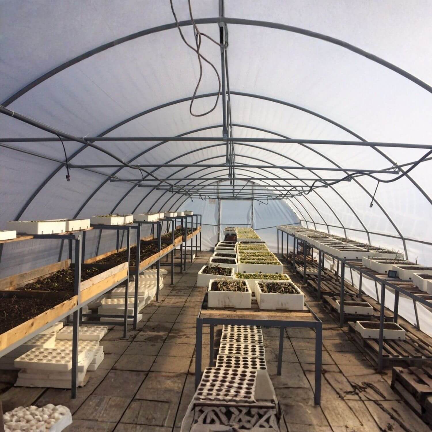 Plastenik PROFI ITC P55 - Image 3