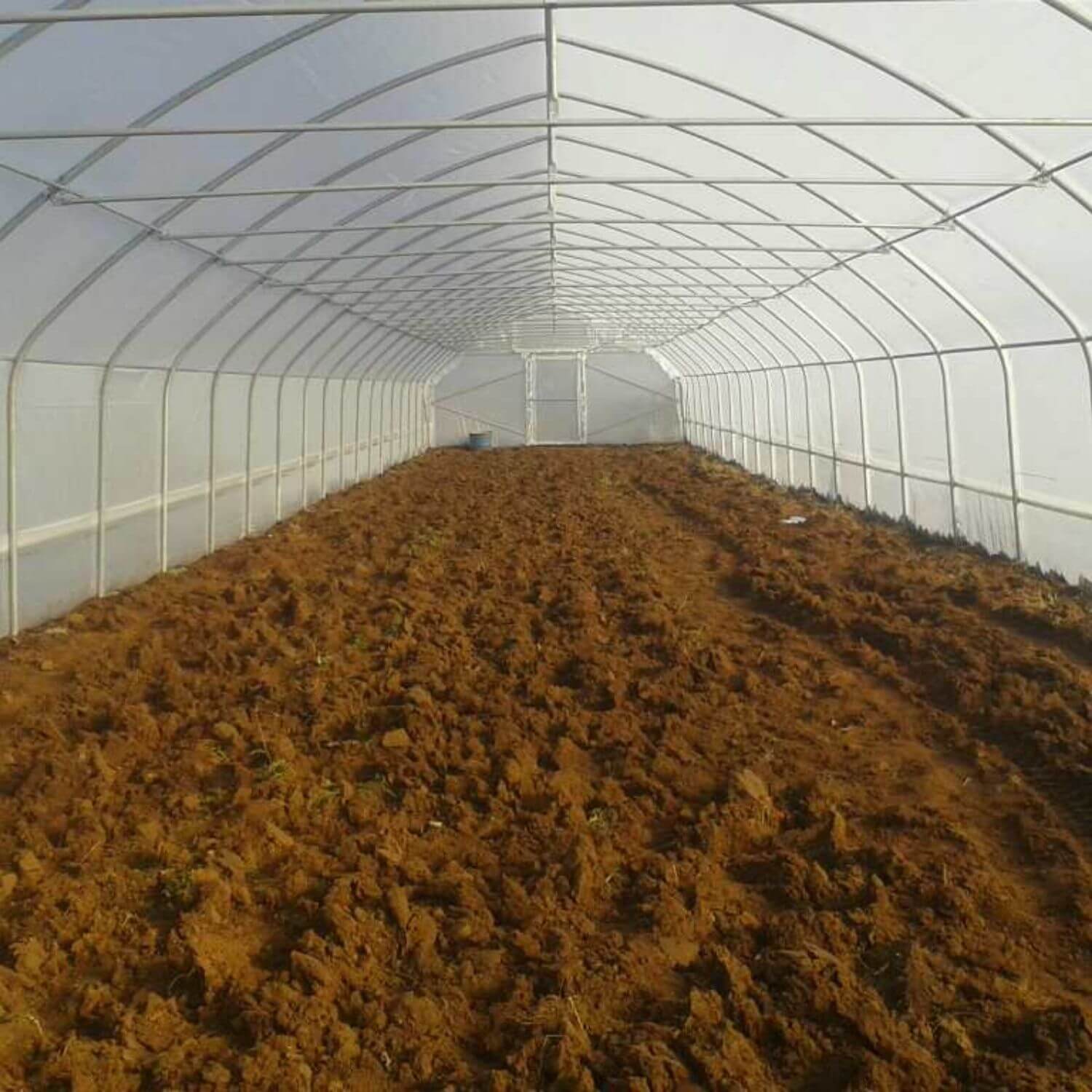 Plastenik PROFI ITC P64 - Image 5