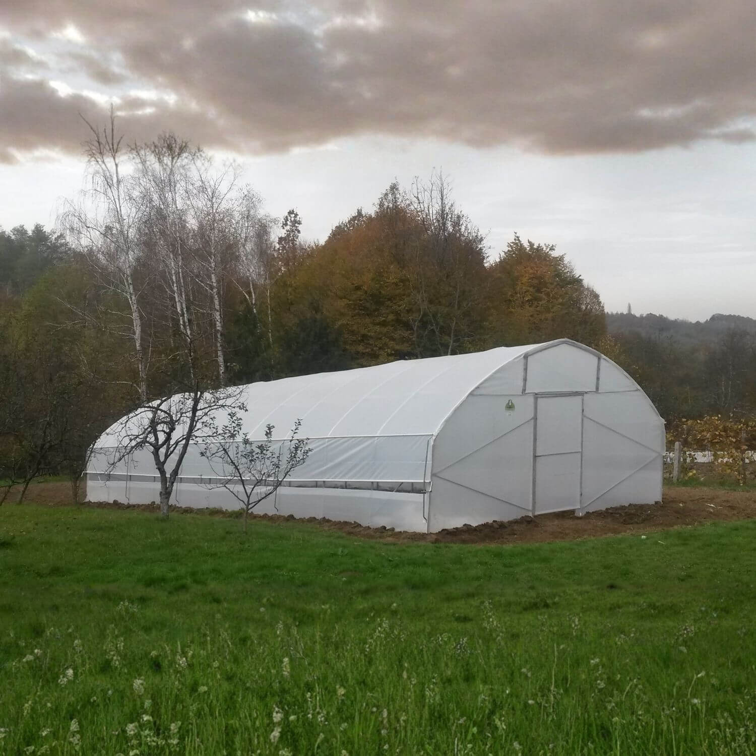 Plastenik PROFI ITC P64 - Image 4