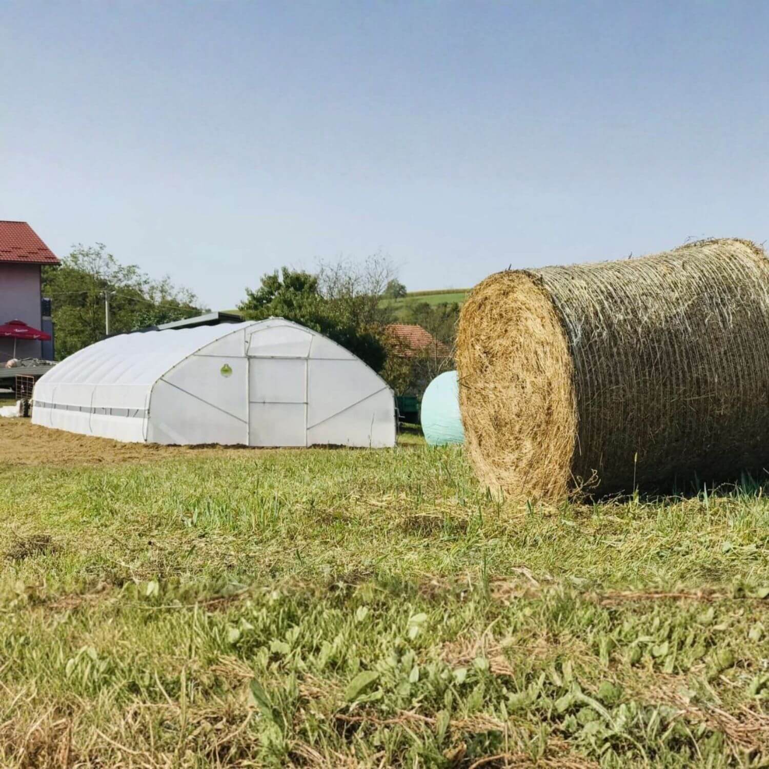 Plastenik PROFI ITC P80 - Image 3