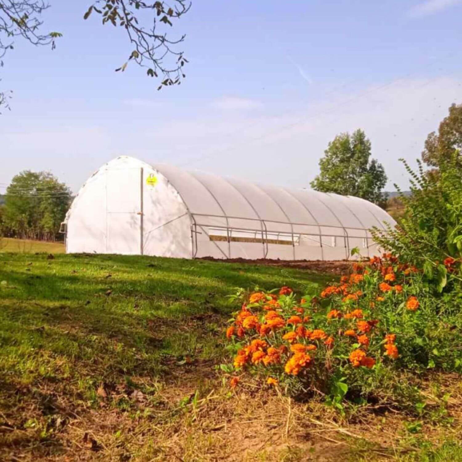 Plastenik PROFI ITC P80 - Image 5