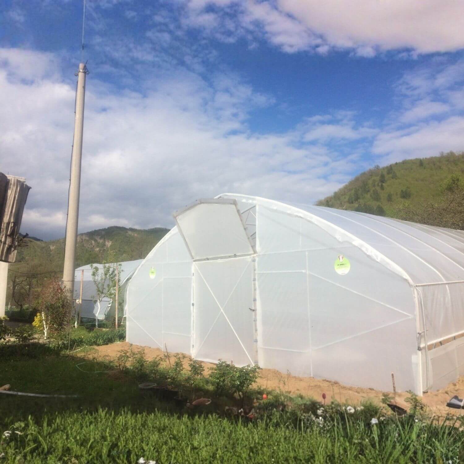 Plastenik PROFI ITC P80 - Image 4