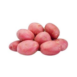 Sjemenski krompir Memphis 55/65 25kg